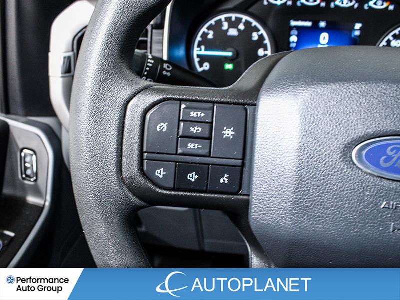 ford F-150 2023 - 24