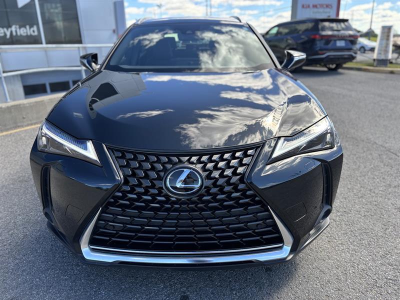 lexus UX 2024 - 15