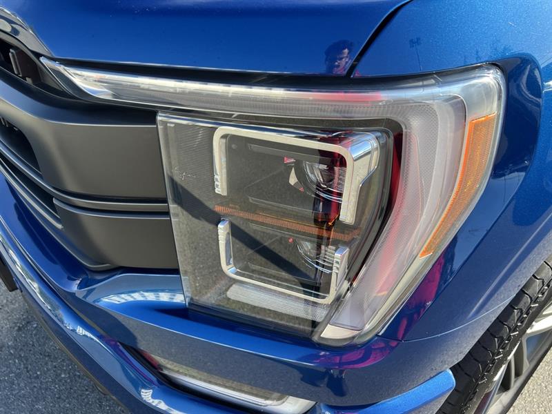 ford F-150 2022 - 12