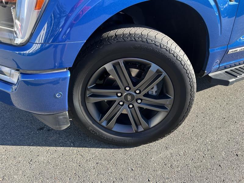 ford F-150 2022 - 13