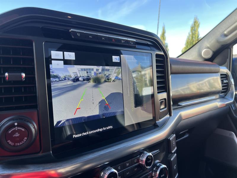 ford F-150 2022 - 19