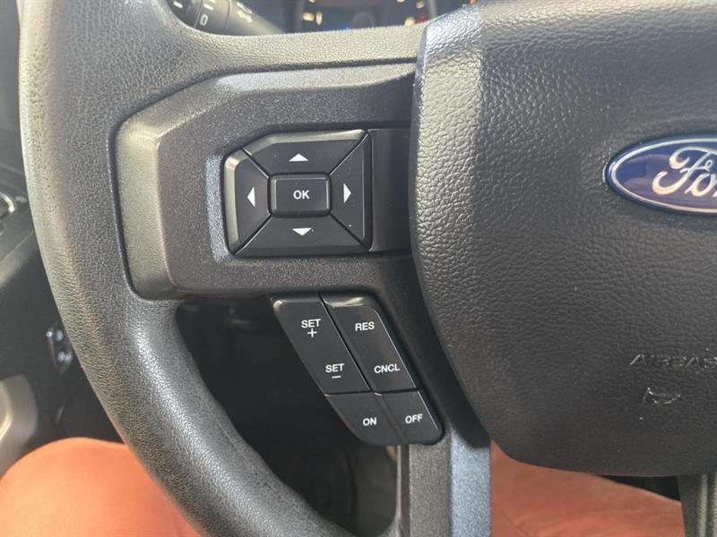 ford F-150 2021 - 14