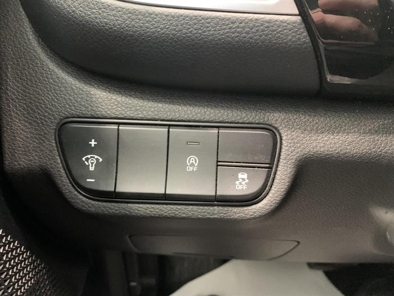 kia Seltos 2024 - 13