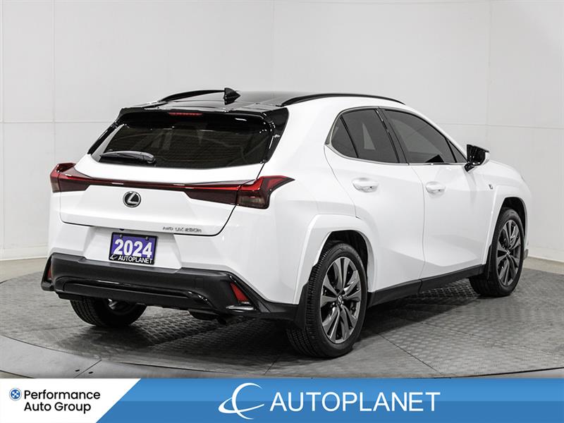 lexus UX 250H 2024 - 5