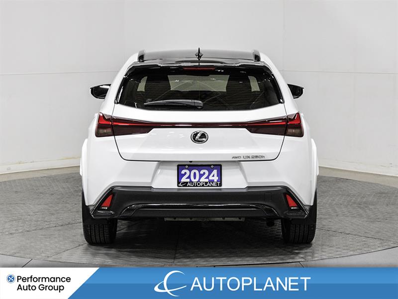 lexus UX 250H 2024 - 7