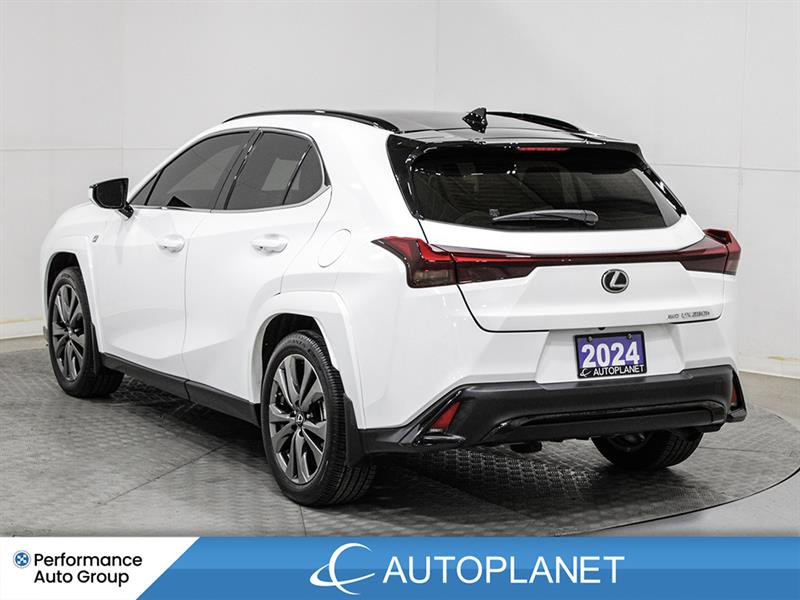 lexus UX 250H 2024 - 8