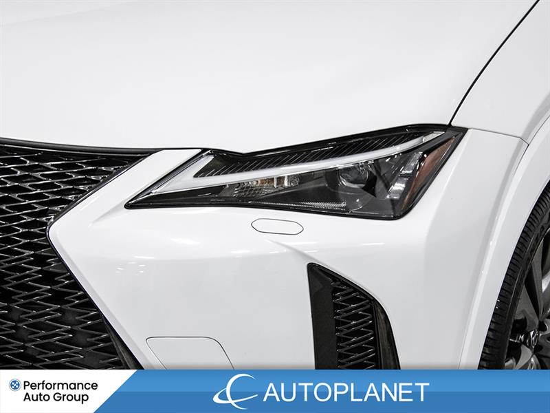 lexus UX 250H 2024 - 10