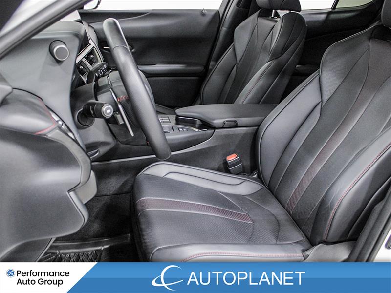 lexus UX 250H 2024 - 19