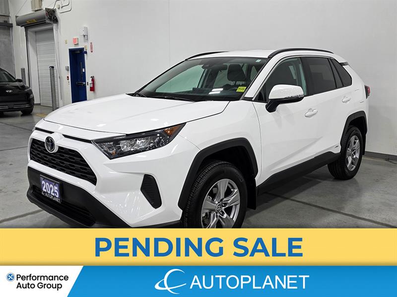 toyota RAV4 2025