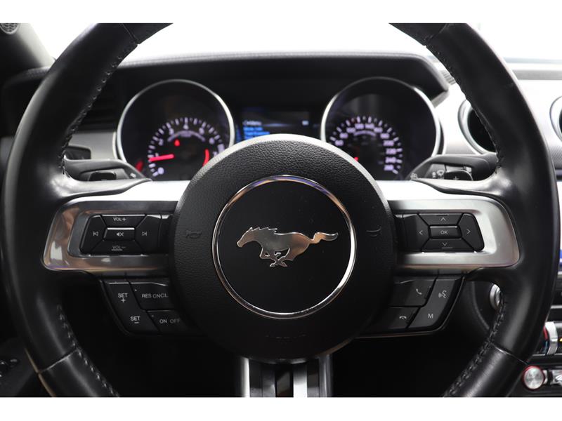 ford Mustang 2019 - 16