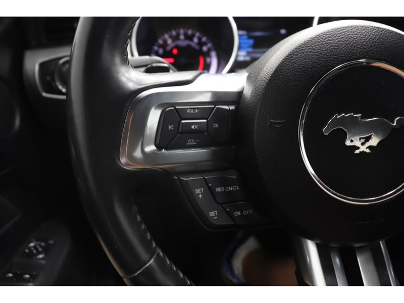 ford Mustang 2019 - 17