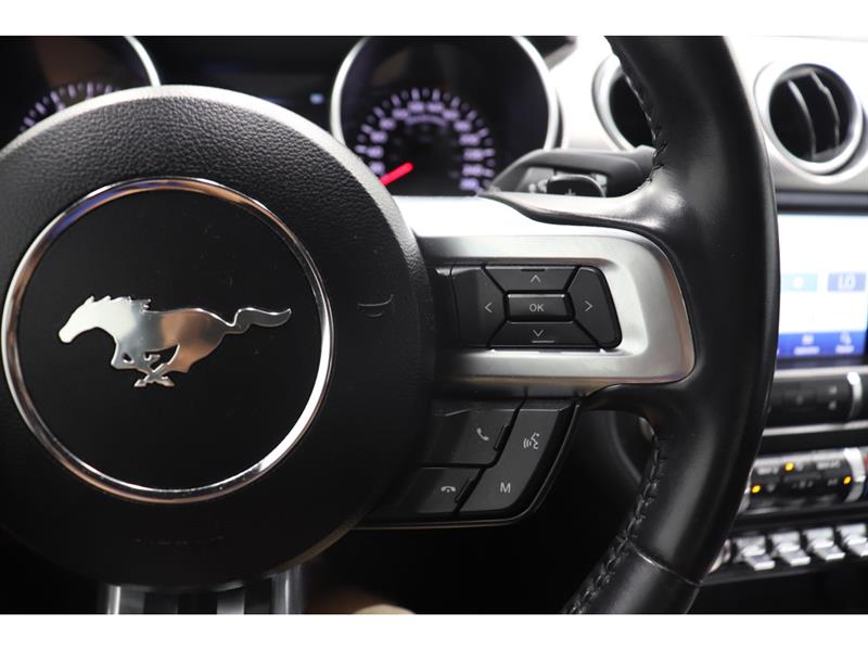 ford Mustang 2019 - 19