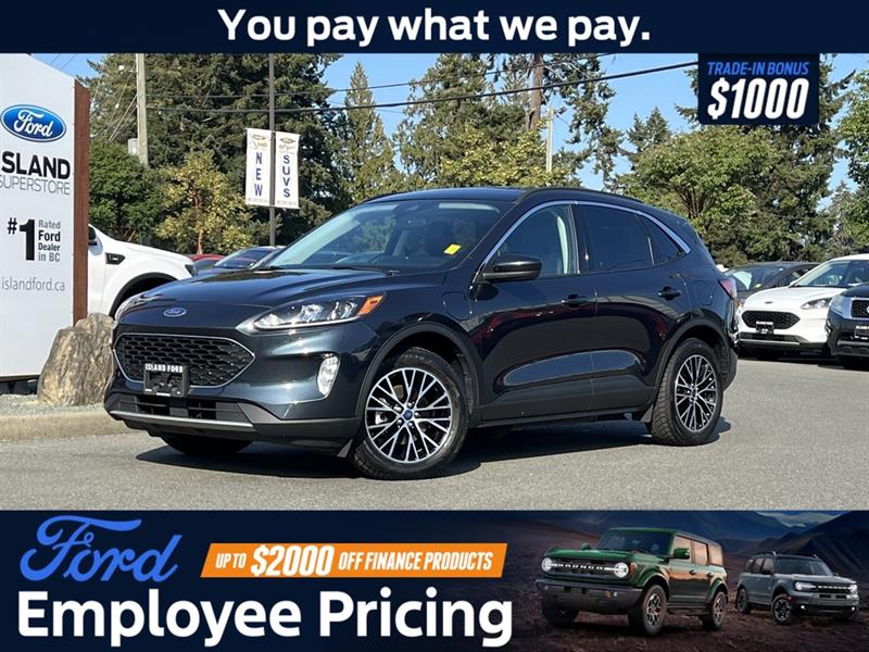 ford Escape 2022