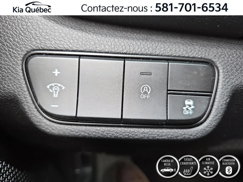 kia Seltos 2024 - 17