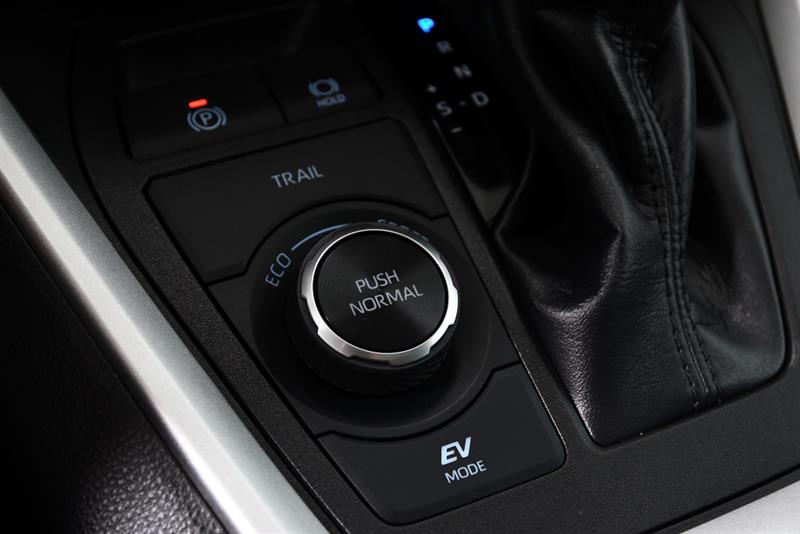 toyota RAV4 Hybrid 2023 - 24