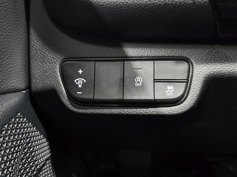 kia Seltos 2024 - 17