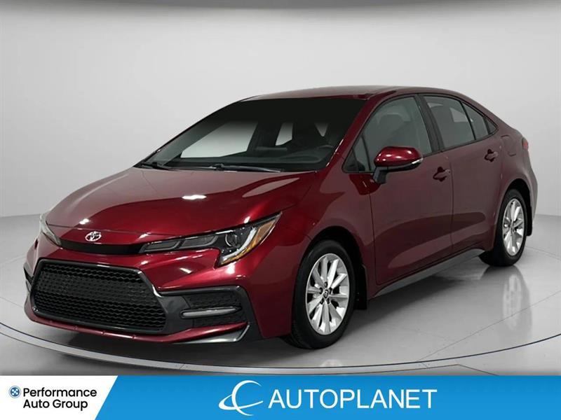 toyota Corolla 2022 - 2