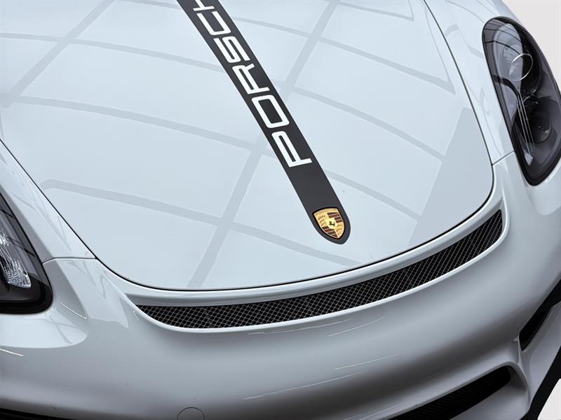 porsche Cayman 2016 - 8