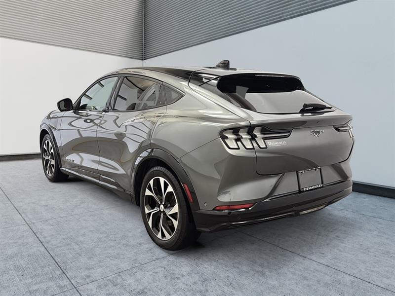 ford Mustang Mach-E 2021 - 7