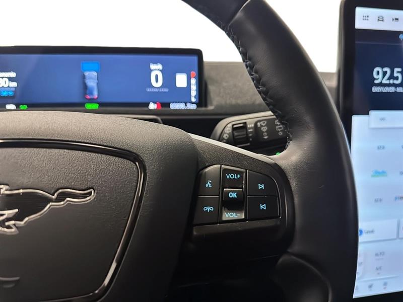 ford Mustang Mach-E 2021 - 29