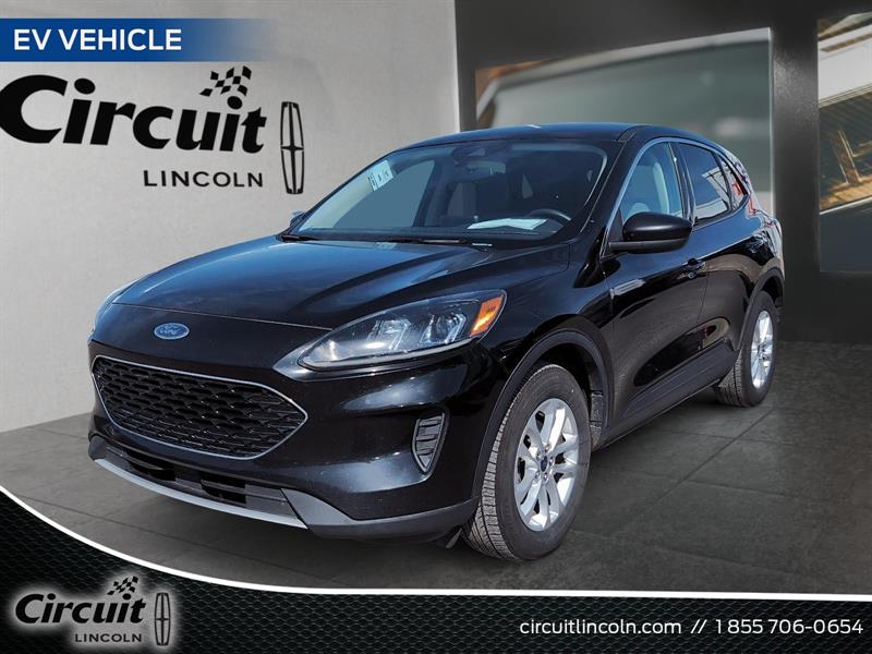 ford Escape 2020