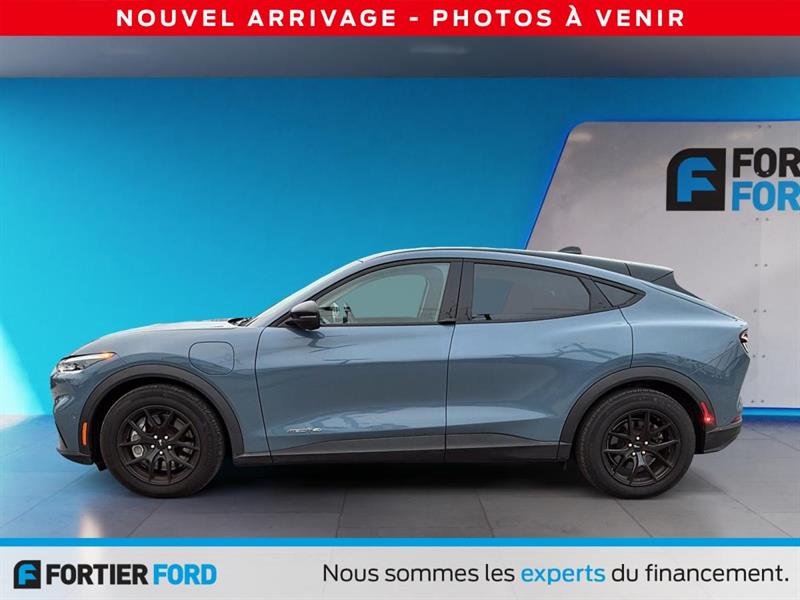 ford Mustang Mach-E 2023 - 2