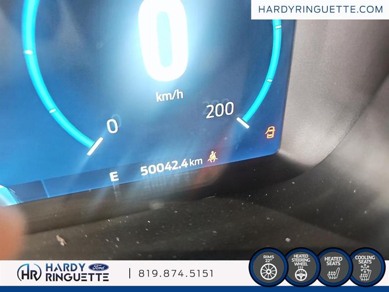 ford F-150 2021 - 11