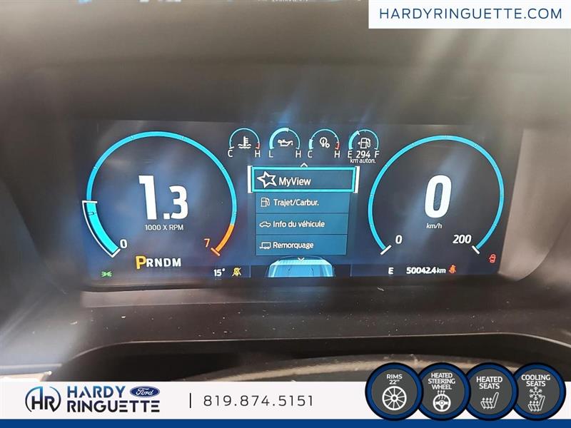 ford F-150 2021 - 12