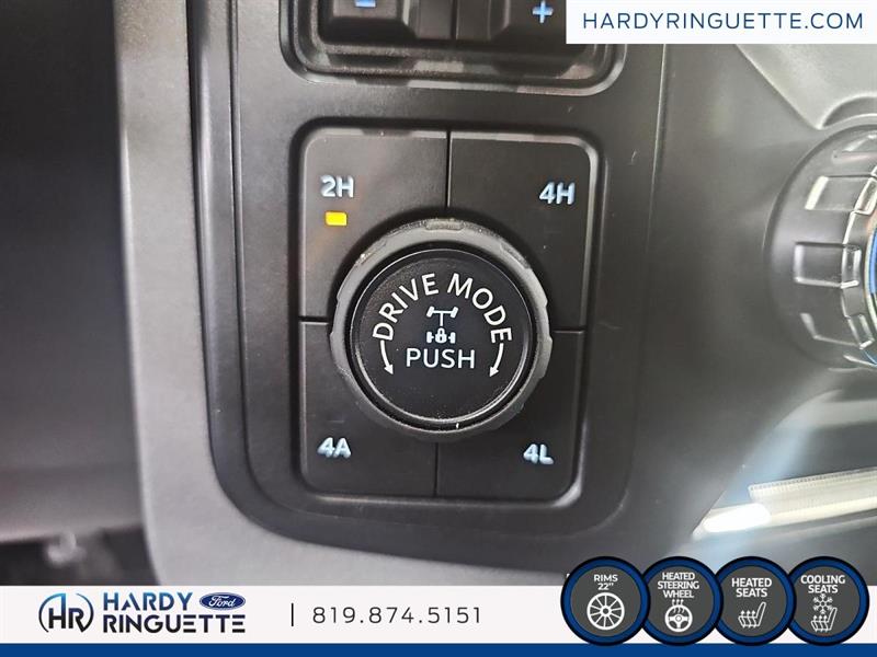 ford F-150 2021 - 14