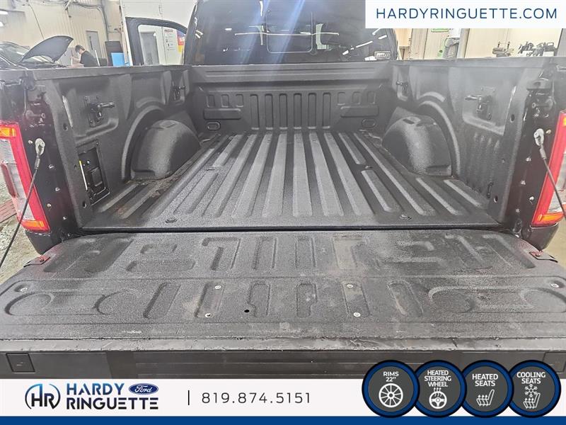 ford F-150 2021 - 15