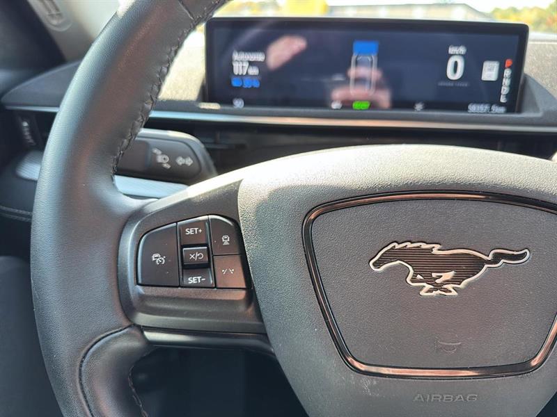 ford Mustang Mach-E 2022 - 11