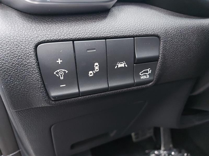 kia Sportage 2022 - 22