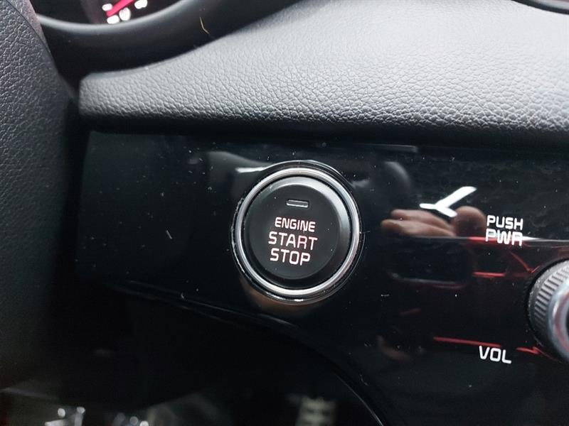 kia Sportage 2022 - 30