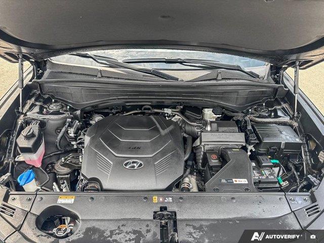 hyundai Palisade 2024 - 13