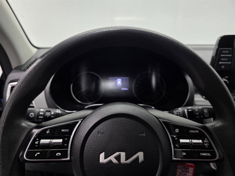 kia Seltos 2022 - 15