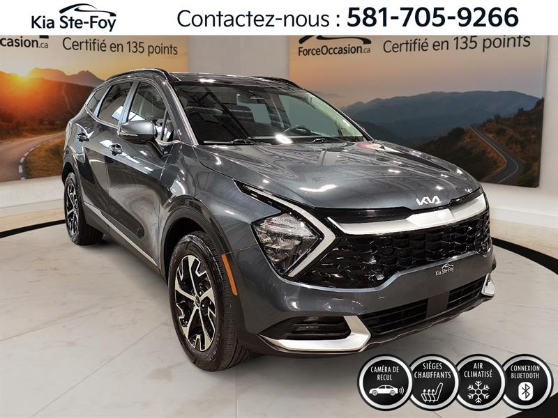 kia Sportage 2024 - 2