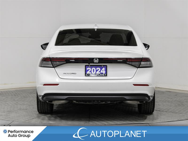 honda Berline Accord 2024 - 6