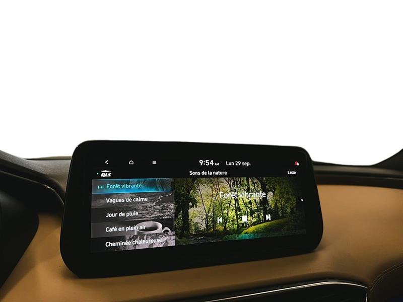 hyundai Santa Fe 2022 - 33