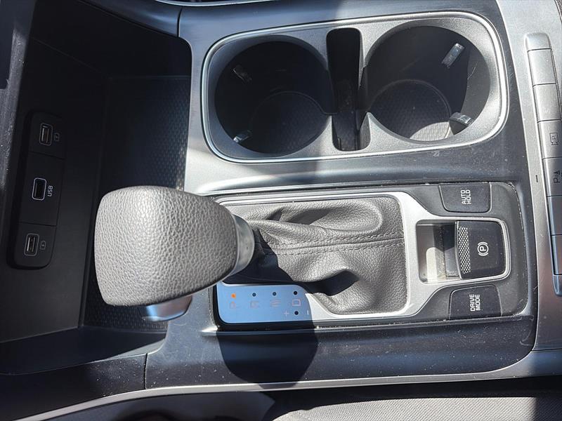 kia Carnival 2024 - 14