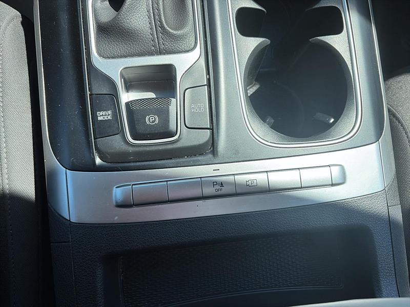 kia Carnival 2024 - 19