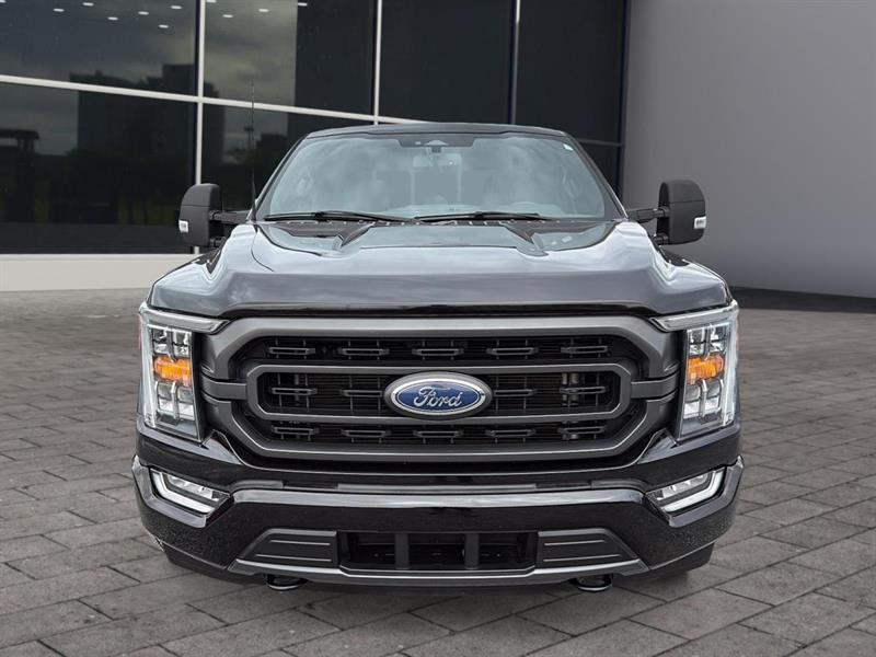 ford F-150 2023 - 4