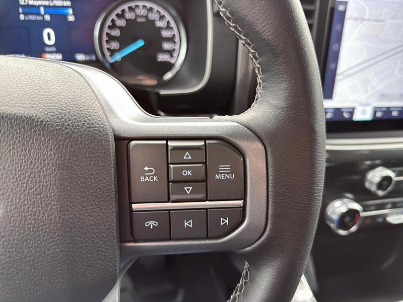 ford F-150 2023 - 15