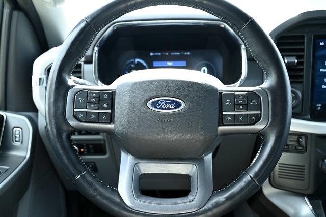 ford F-150 Lightning 2023 - 24