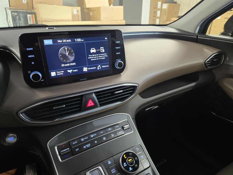 hyundai Santa Fe 2022 - 19