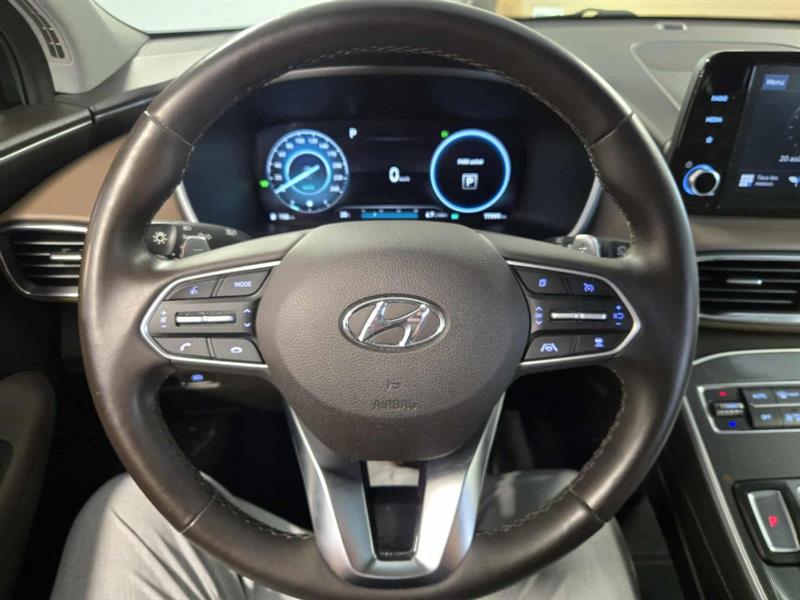 hyundai Santa Fe 2022 - 22