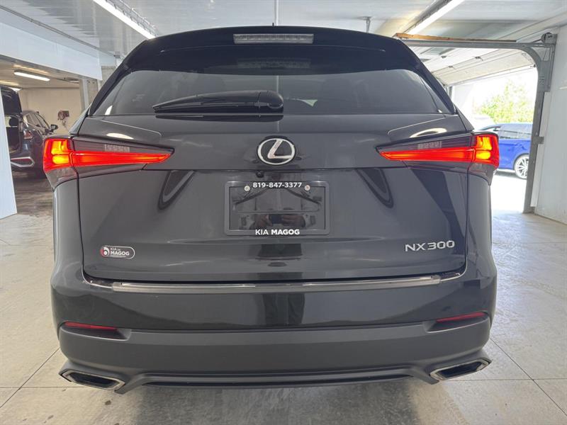 lexus NX 300 2019 - 7