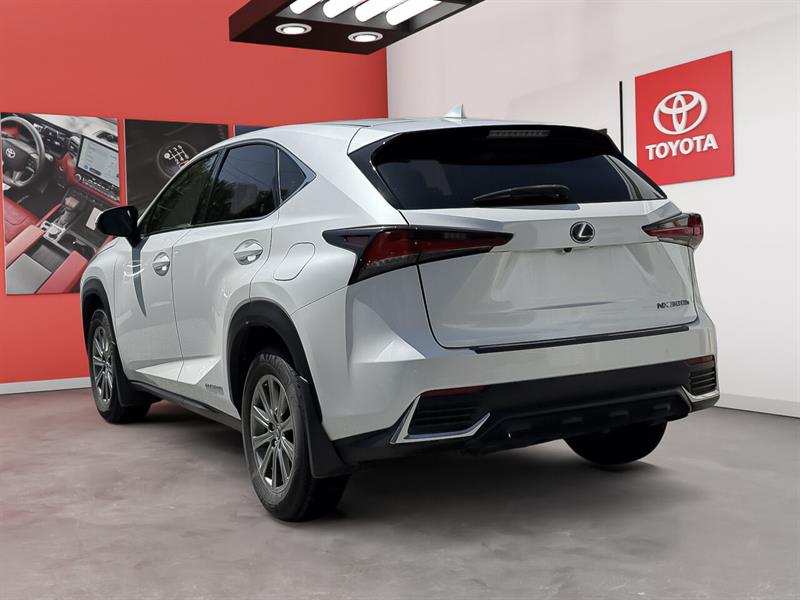 lexus NX 300 HYBRIDE 2019 - 2