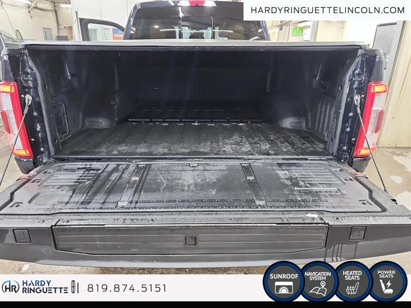 ford F-150 2021 - 15