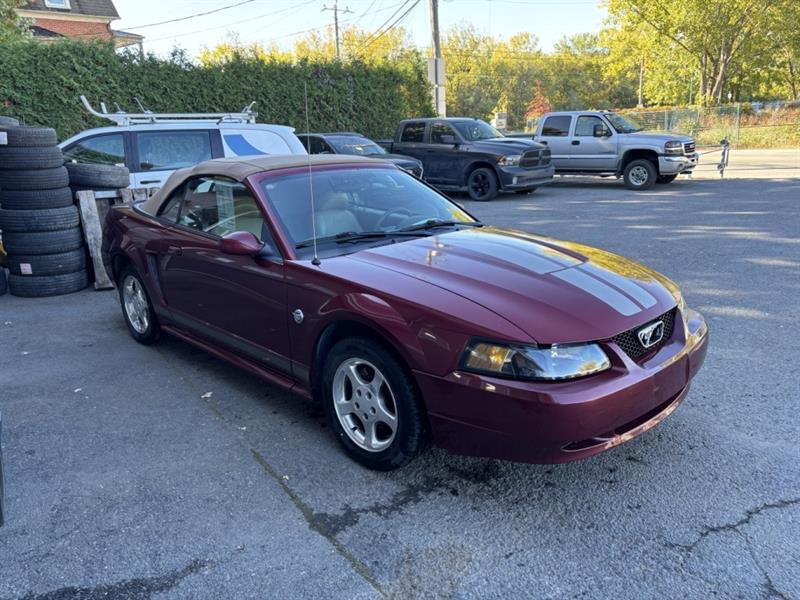 ford Mustang 2004 - 4