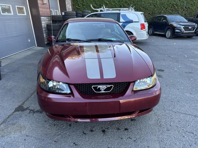 ford Mustang 2004 - 5